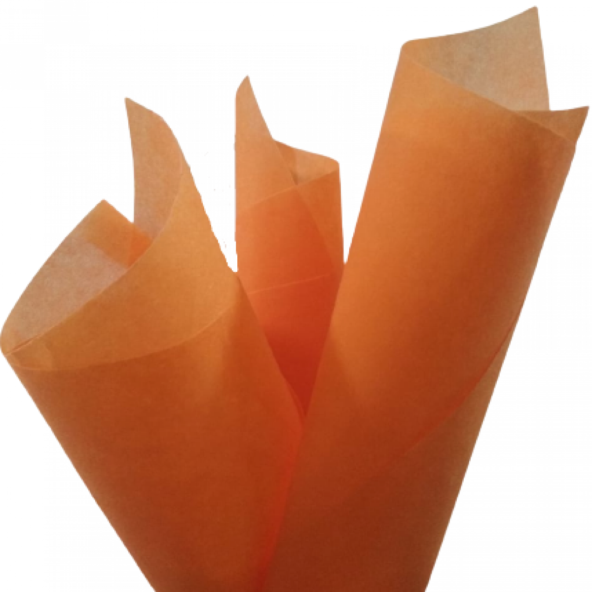 Orange 75cmx60cm Tissue Floral Wraps - 50 Sheets 
