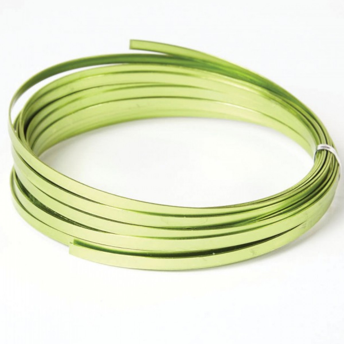 4023 Flat Aluminium Wire Apple Green 1mmx5mmx100g 1 No