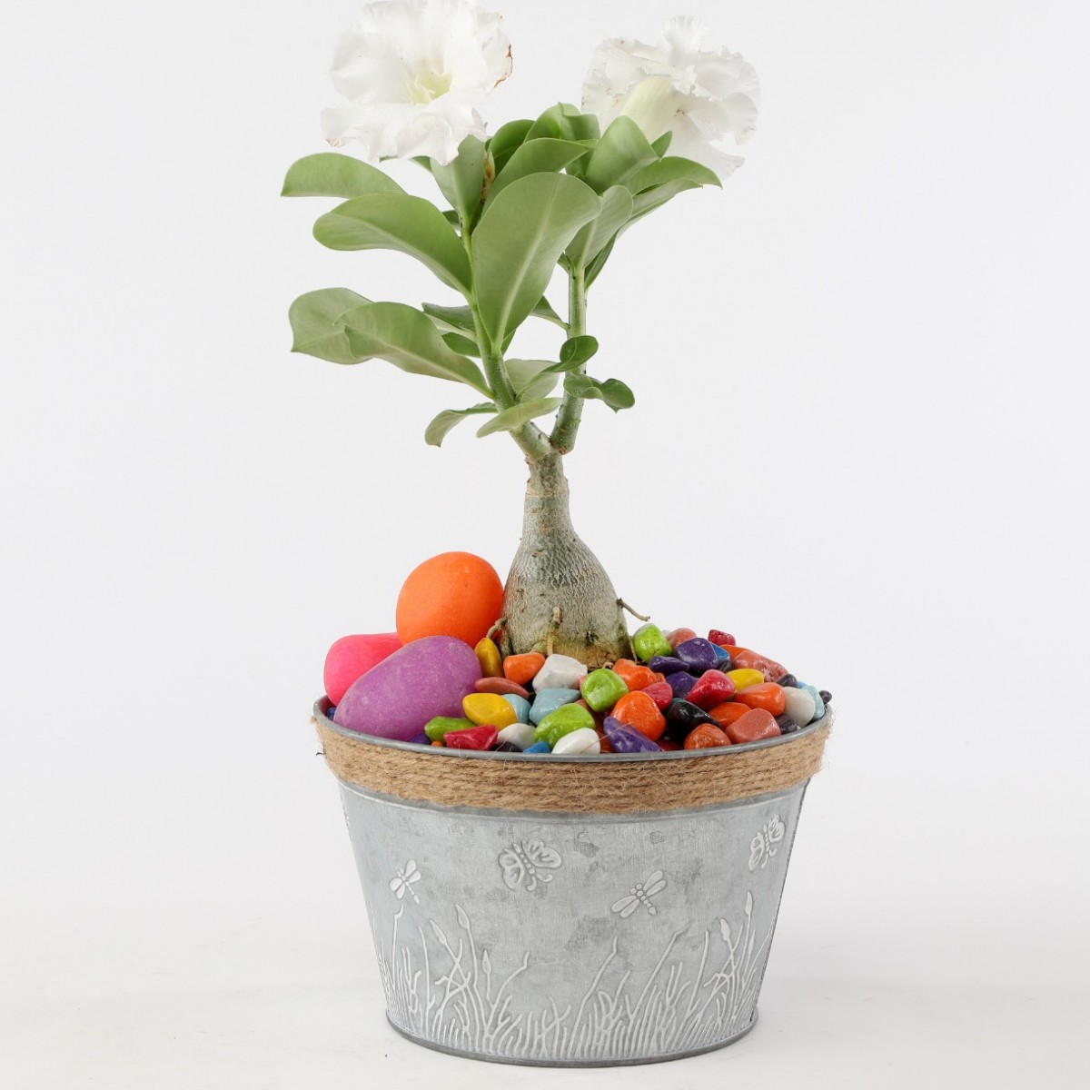 5205 Bowl Lined 18x11cm Tin/Metal Container - 1 No