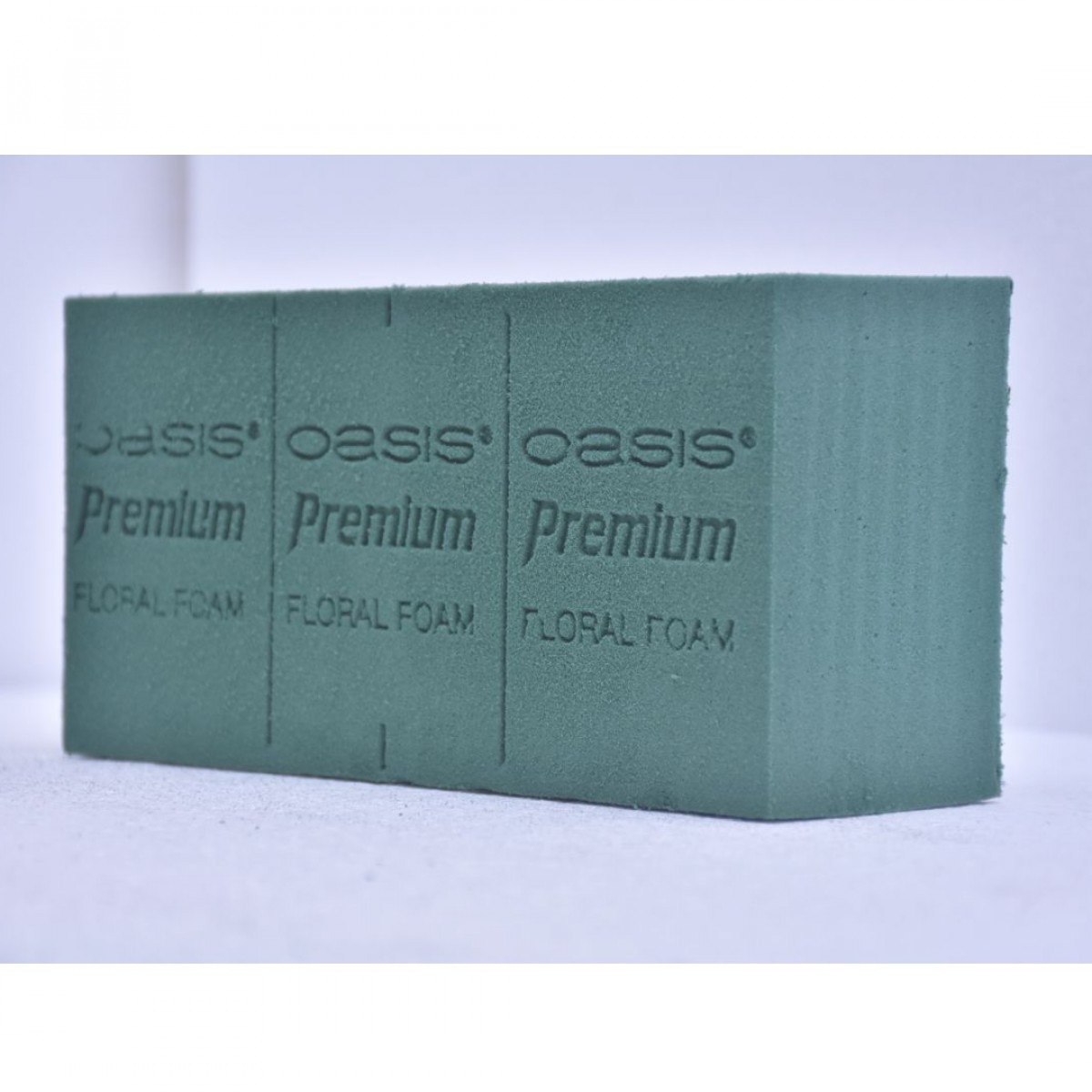 Premium Brick (2 Nos) Oasis Floral Foam
