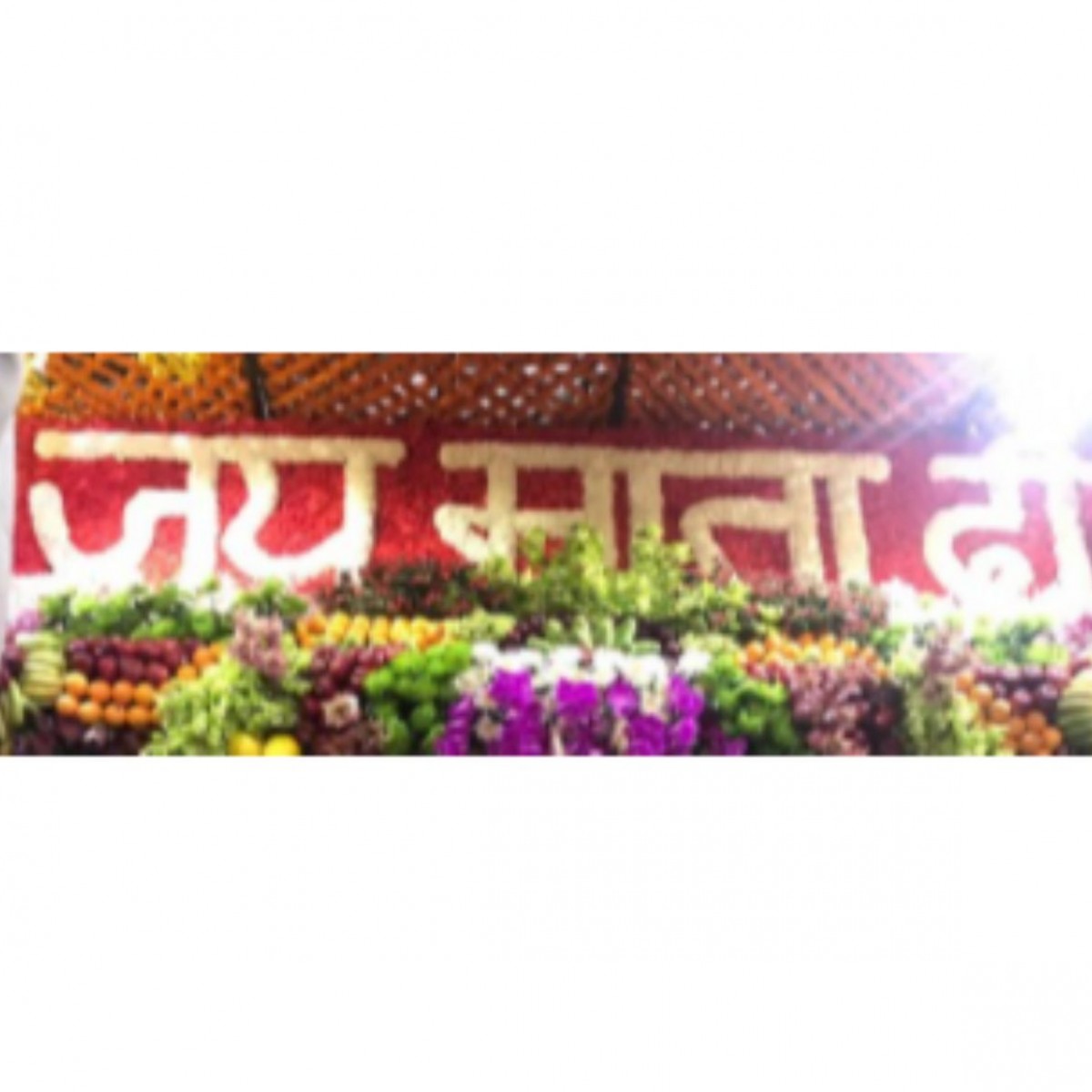 Jai Mata Di 18