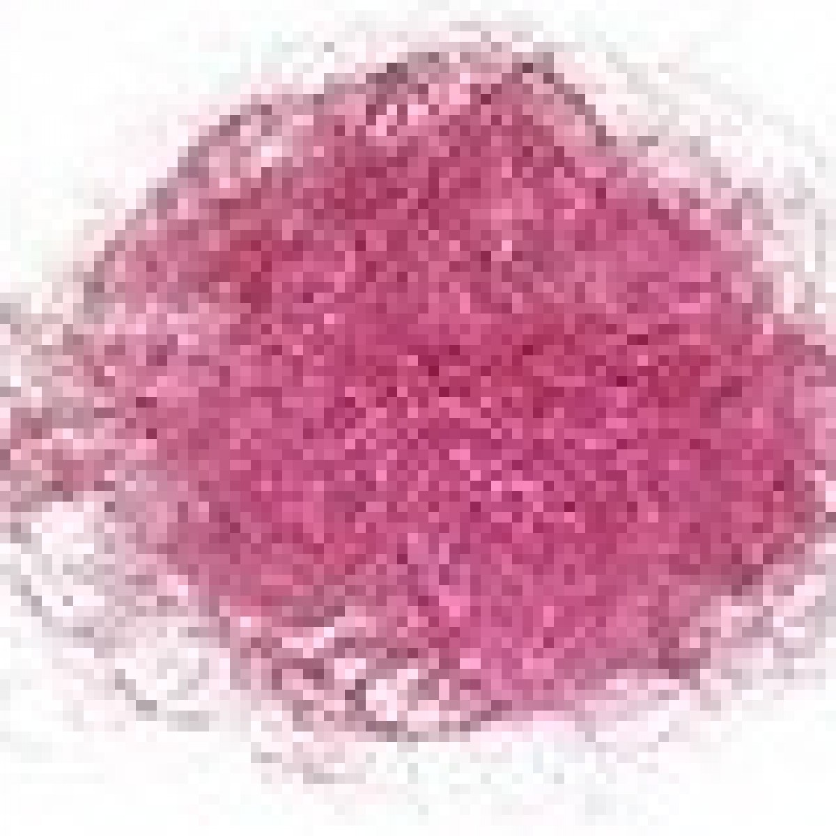 4234 Bullion Hair Magenta 25g (2 Nos)