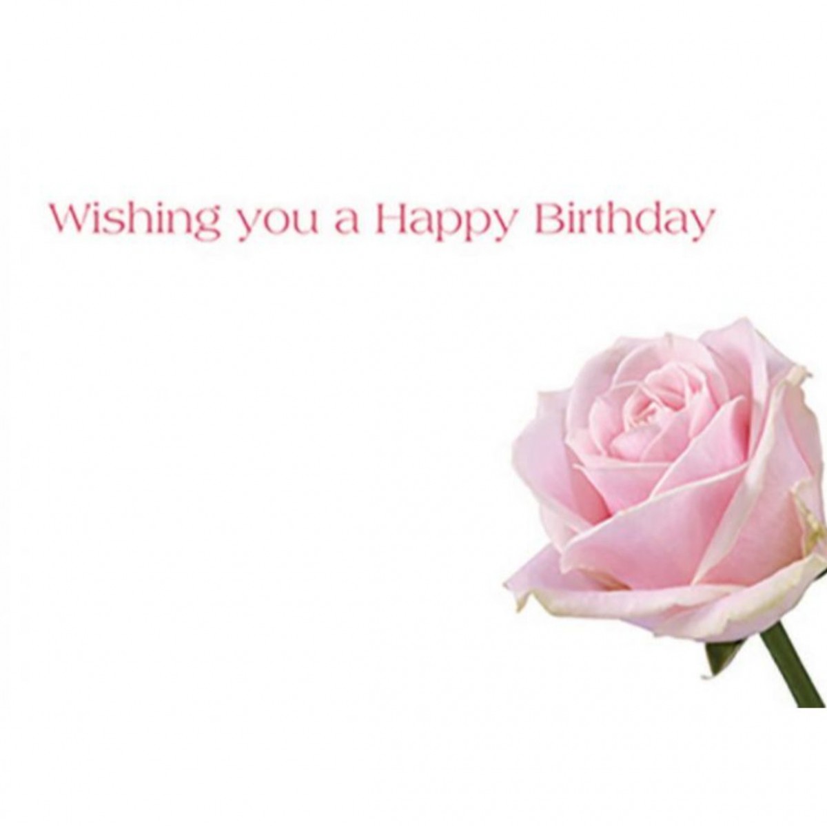 4508 Wishing Happy Birthday Day Rose Pink 9x6cm 50x1 Cards