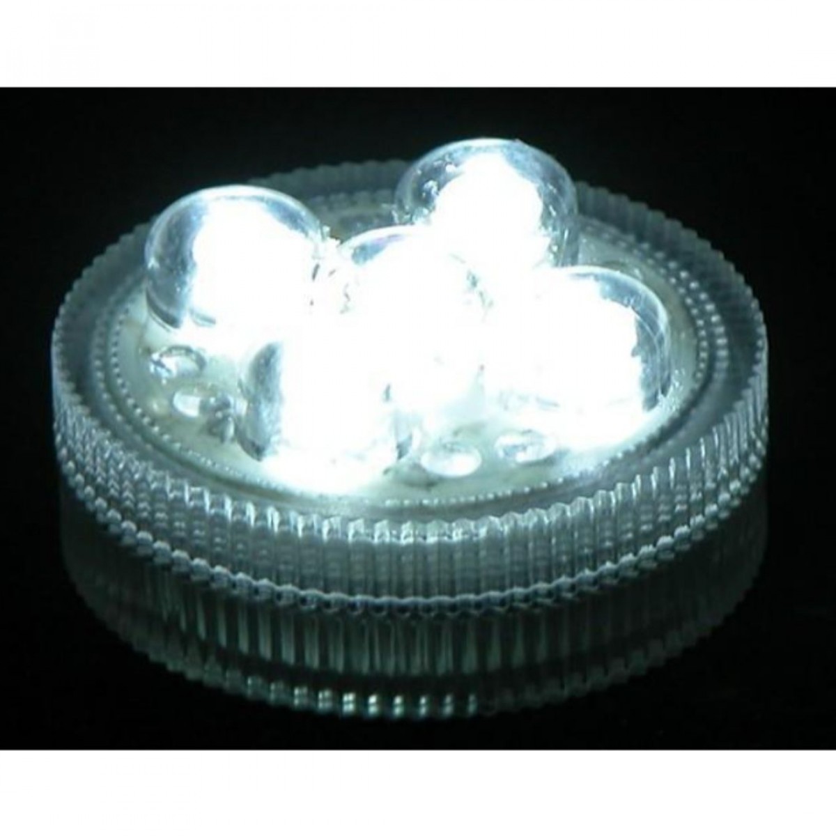 4323 LED Light XXL White 10x1