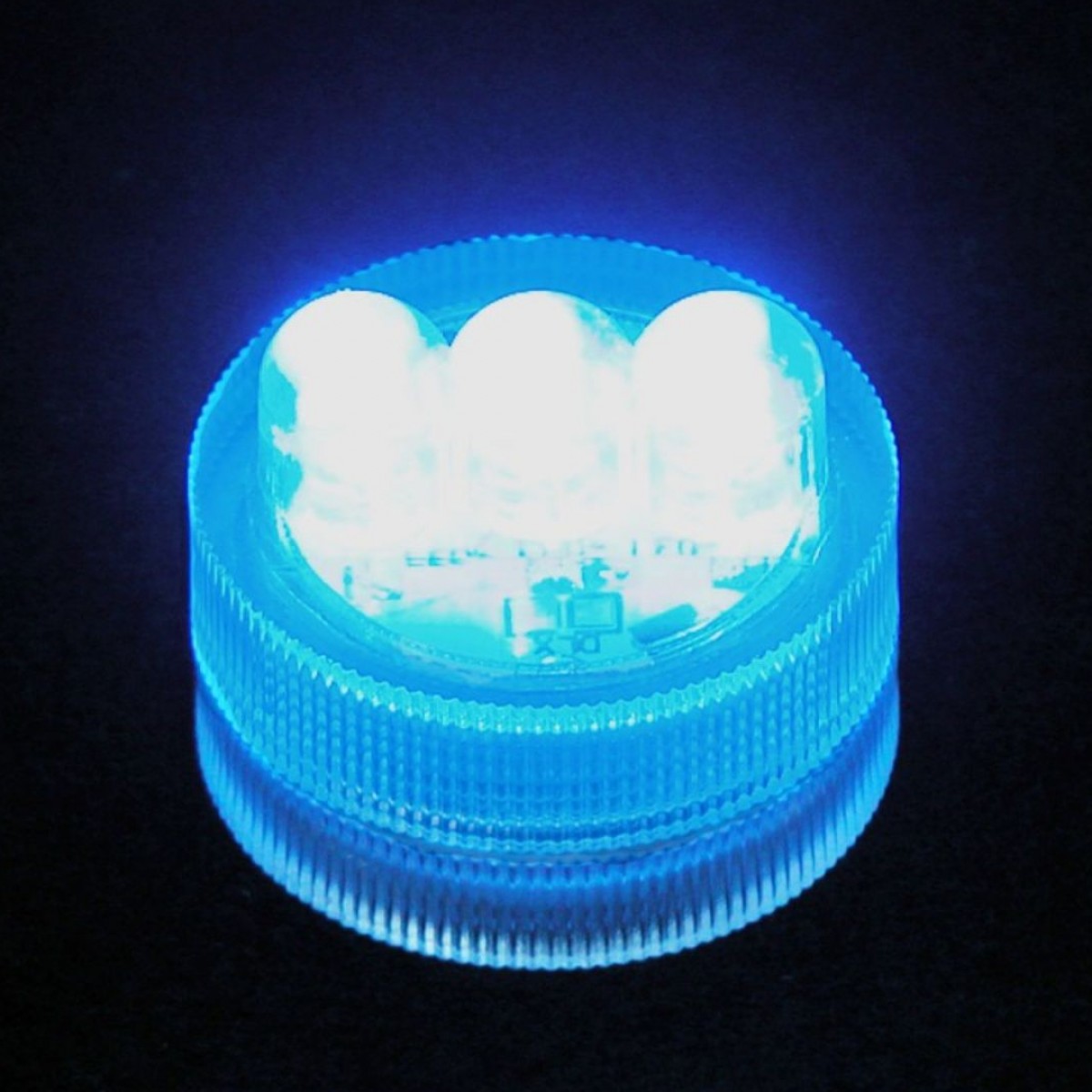 4319 LED Light XL Blue 10x1