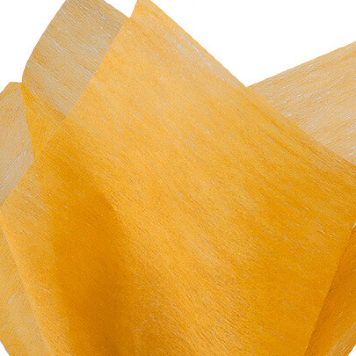 Amscam Tissue Paper, Orange - 8 count