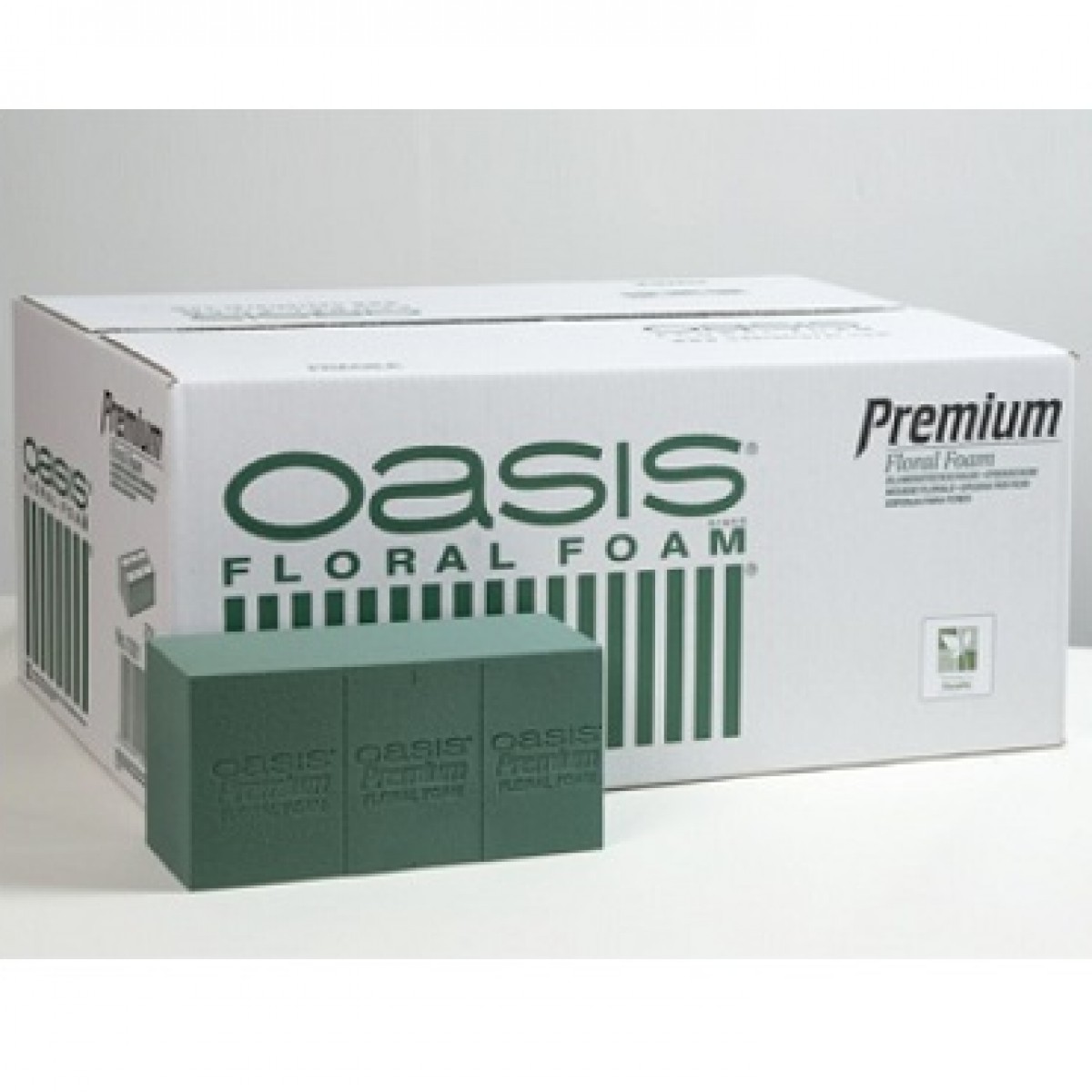 Premium Brick (20 Nos) Oasis Floral Foam