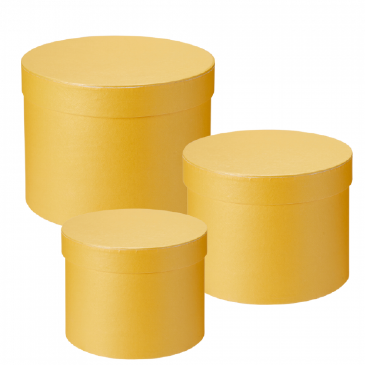 5076 Yellow Macaroon Collection Round Lined Paper Gift Box 3x1