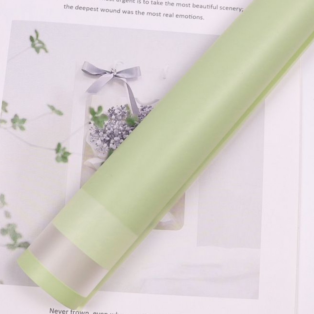 7650 Matcha Green Photo Frame Border 58x58cm (20 Sheets)
