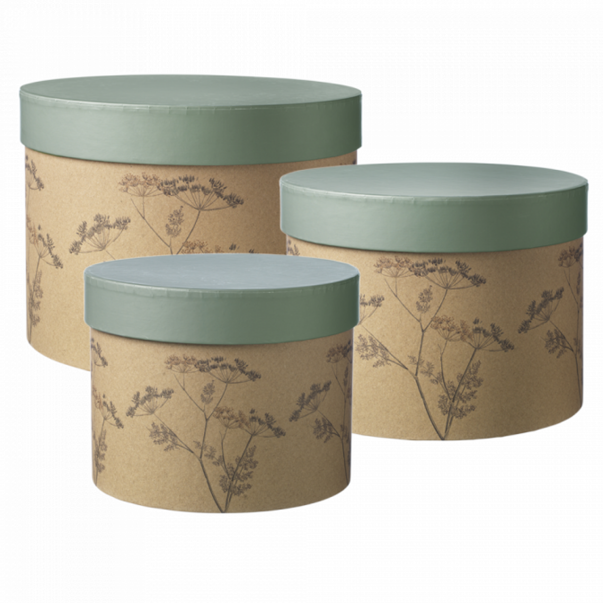 5040 Natural Cow Parsley Lined Paper Gift Box 3x1