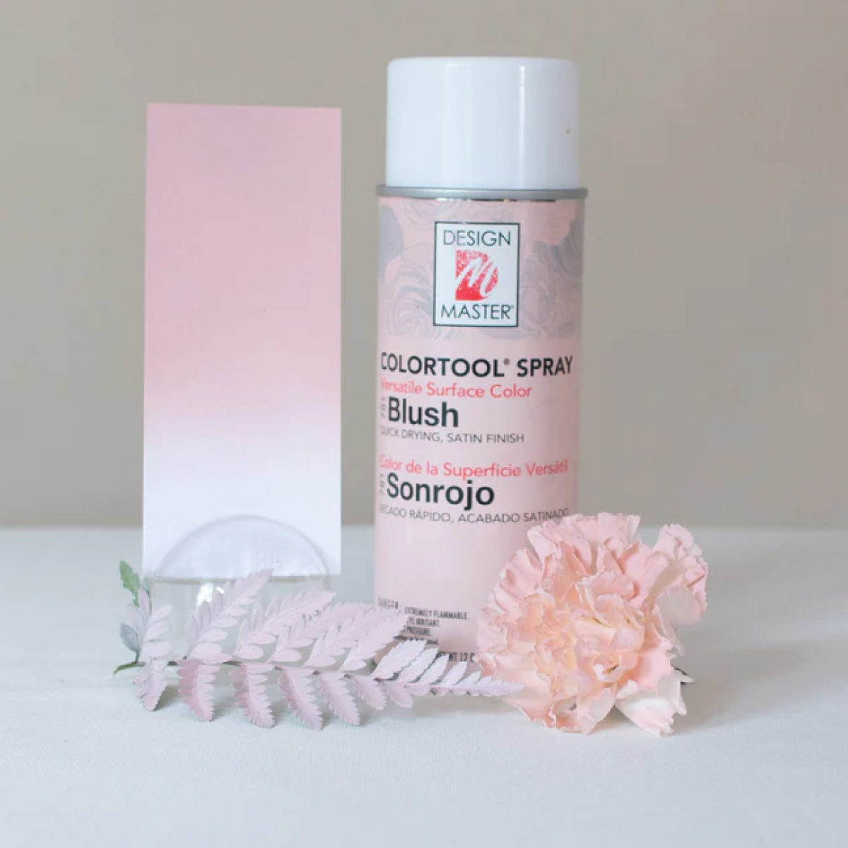 781 Blush DM Colour Spray Paint - 1 No