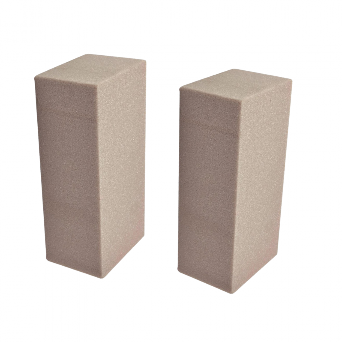 SEC Brick (2 Nos) Dry Oasis Floral Foam