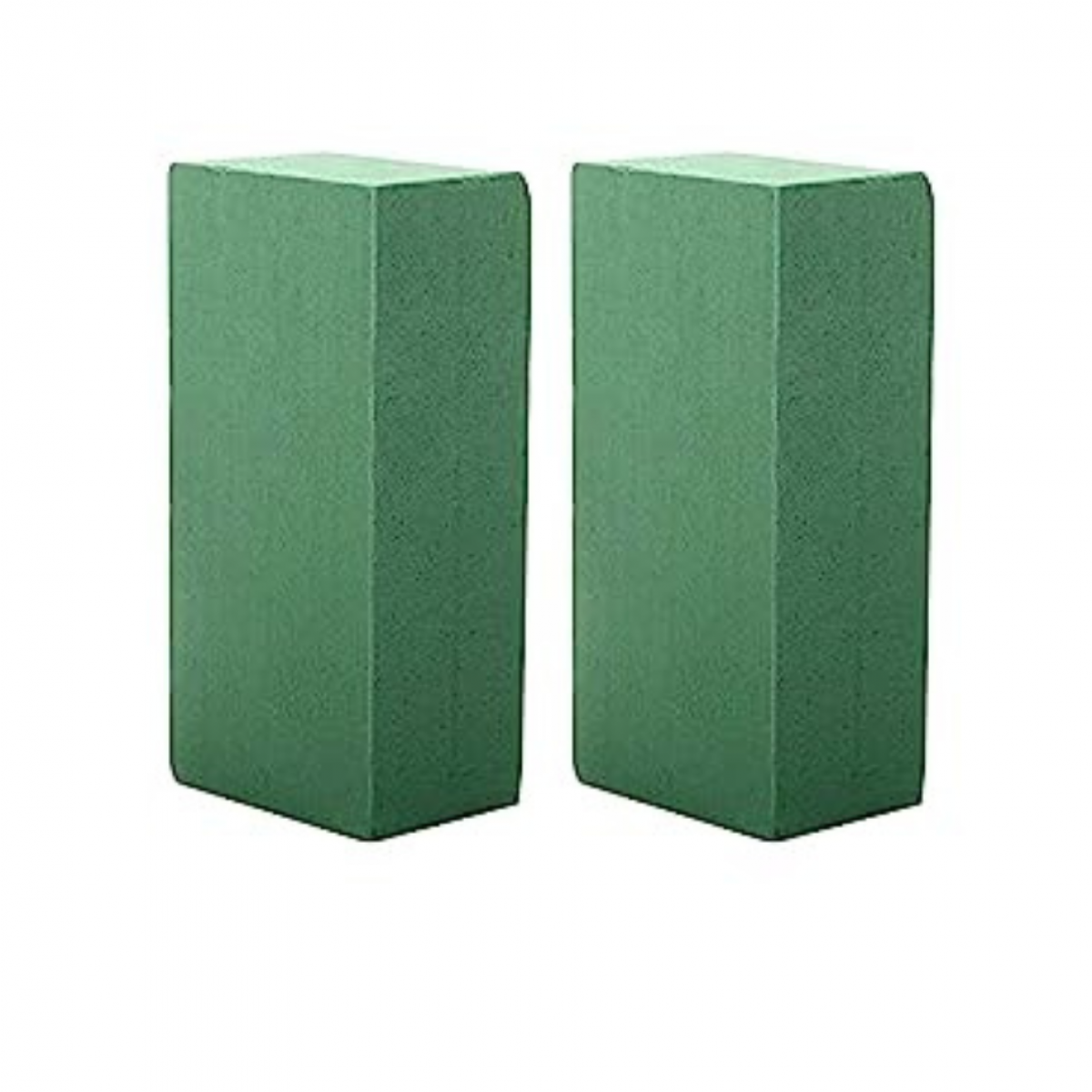 Nova (2 No) - Oasis Floral Foam Brick