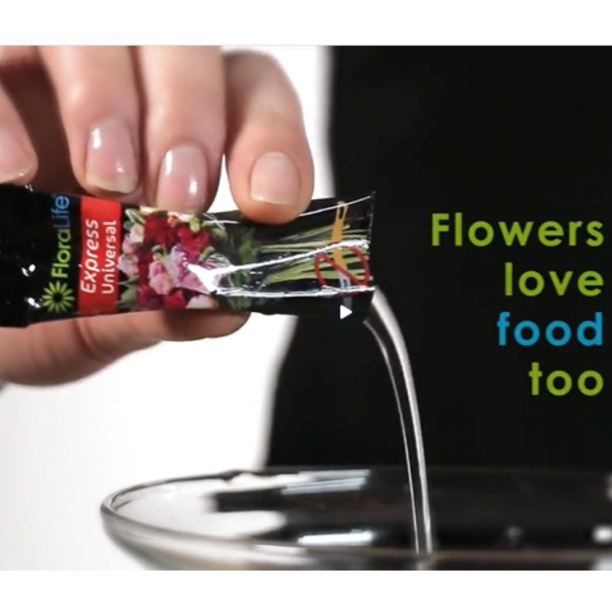 1306 Floralife Flower Food Liquid 100 Sachet (Crystal Clear 300)
