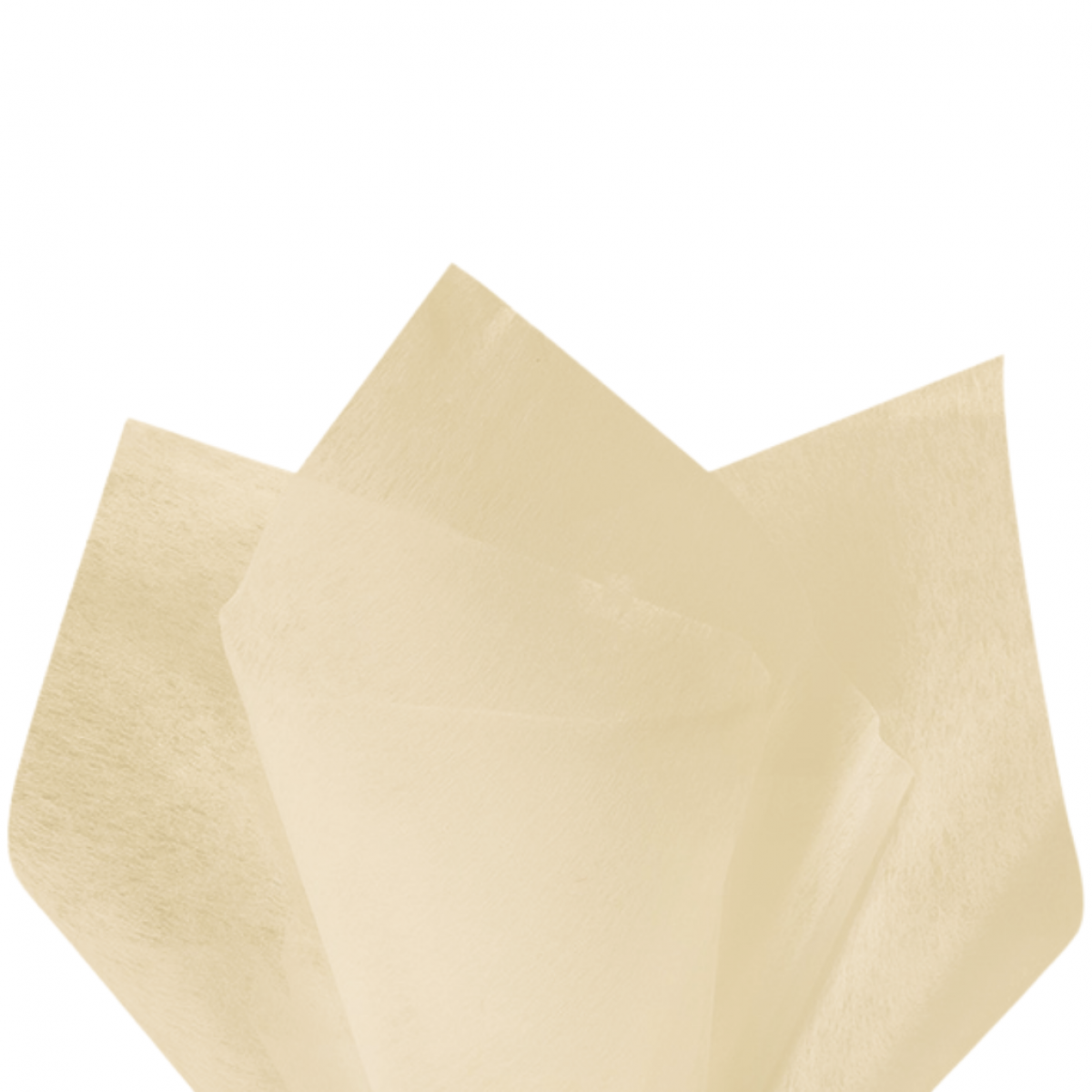 7512 Ivory 24x28inch Tissue Floral Wraps - 100 Sheets