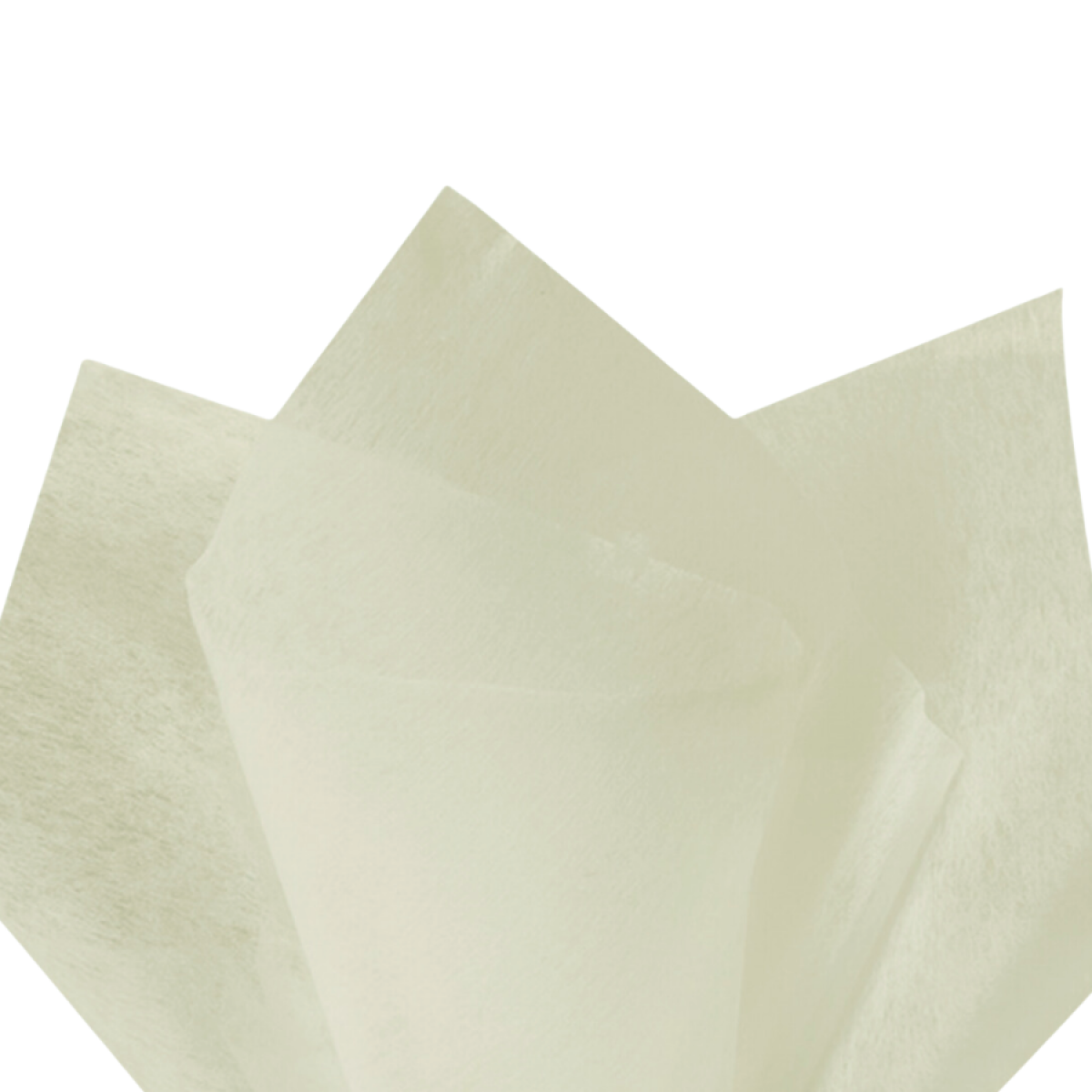 7561 Ivory Tissue Floral Wraps - 100 Sheets