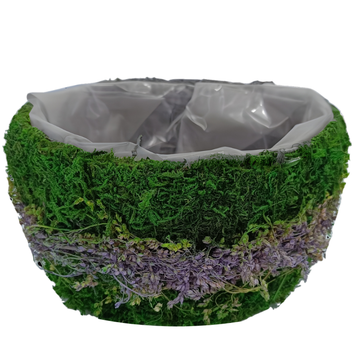 5519 Bowl Purple & Green Lined (1 no) 20x20x11cm Moss Basket