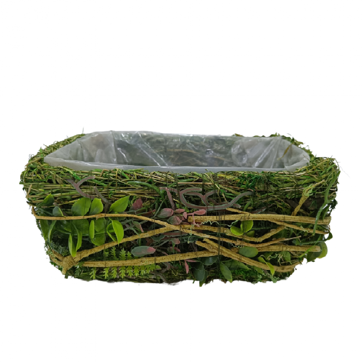 5523 Rectangular Green Lined (1 No) 21x11x9cm Moss Basket