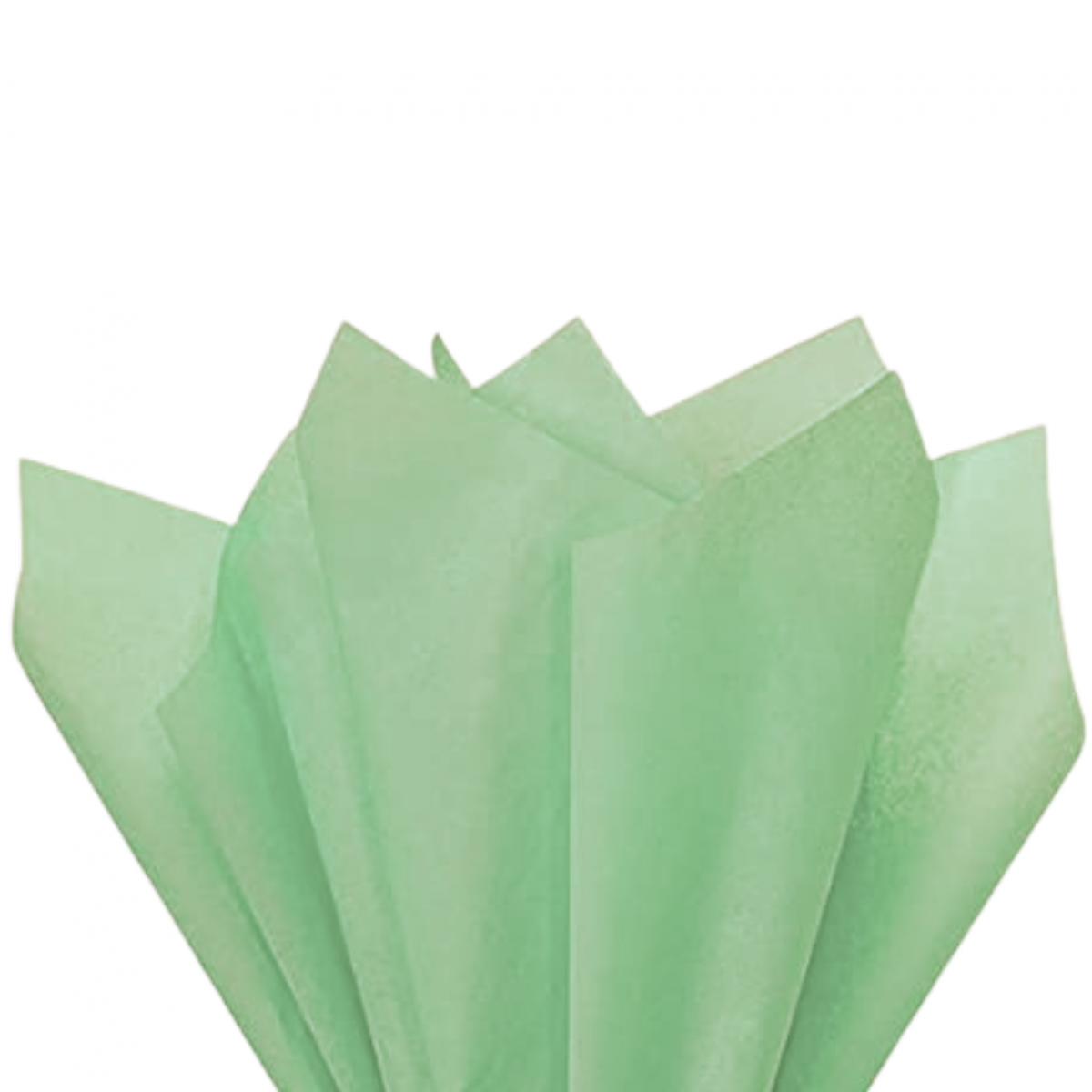 7576  Mint Green Tissue Floral Wraps  - 100 Sheets