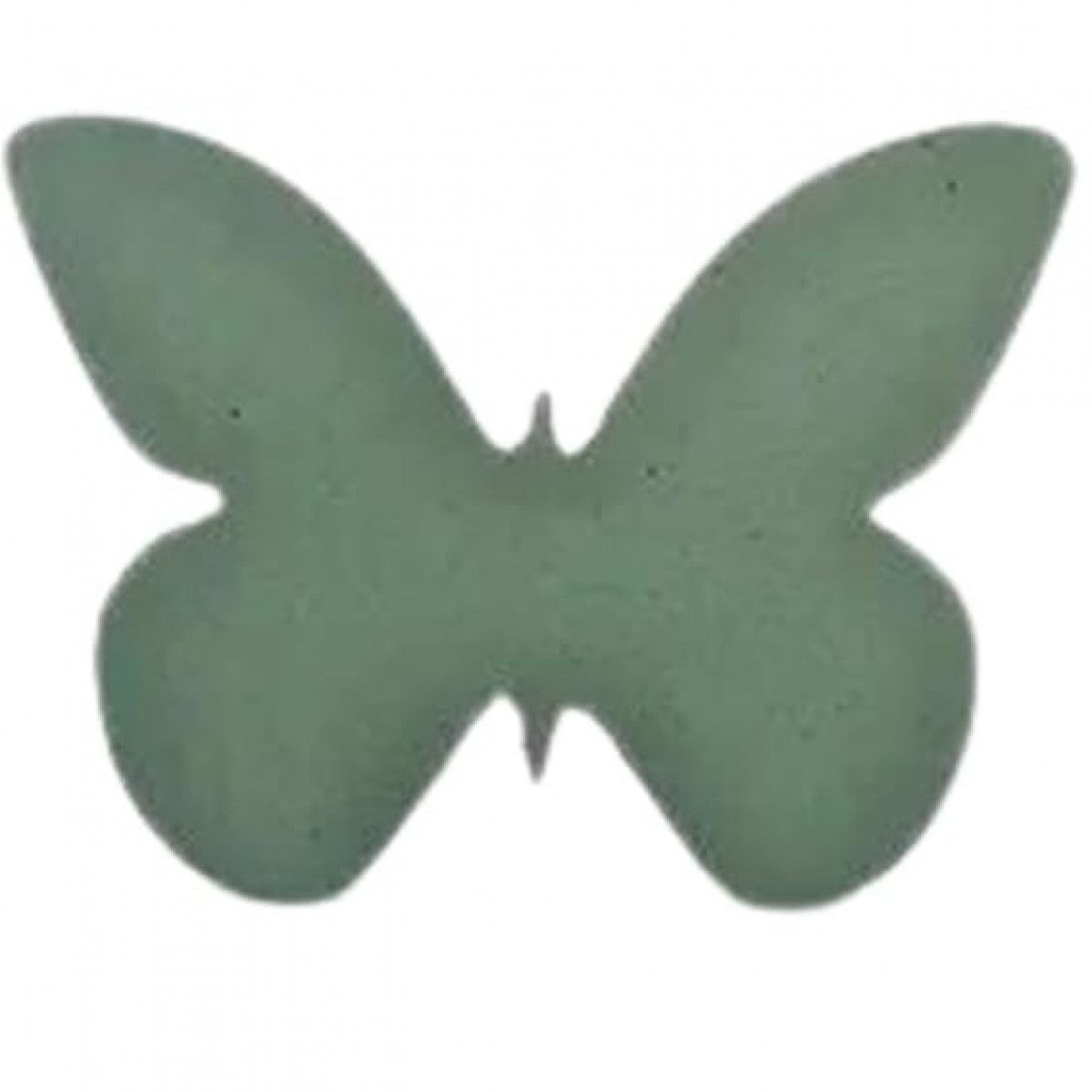 Butterfly 12