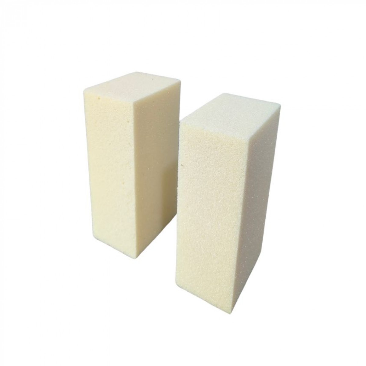 SEC Brick (2 Nos) Dry Oasis Floral Foam